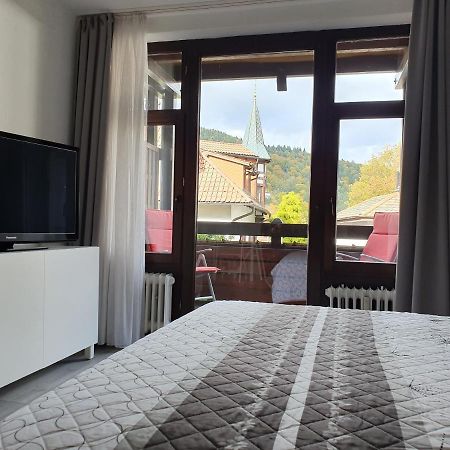 Gemuetliche Ferienwohnung Am Kurpark In 바트헤른알브 외부 사진