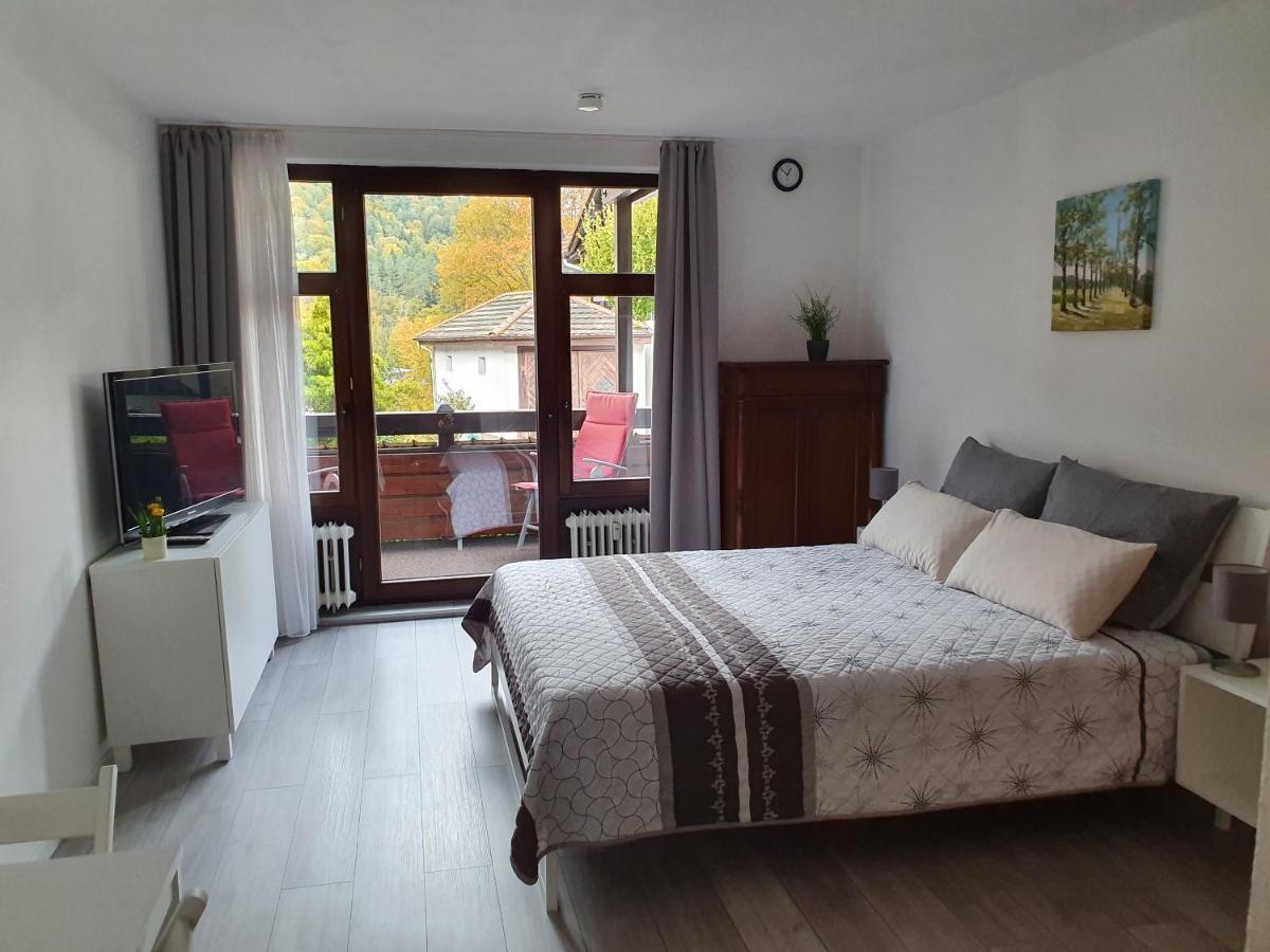 Gemuetliche Ferienwohnung Am Kurpark In 바트헤른알브 외부 사진